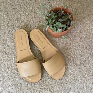 Everlane The Slide Sandal in Tan Size 6.5